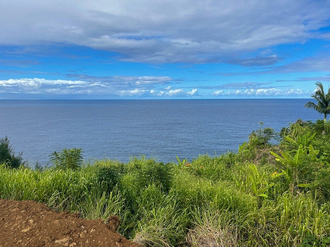 9 Pali Ku Pl, Ninole, HI 96773 Zillow