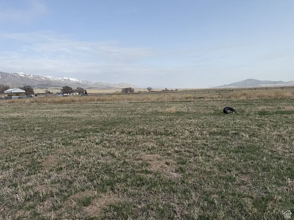 100 E Pine St, Rush Valley, UT 84069