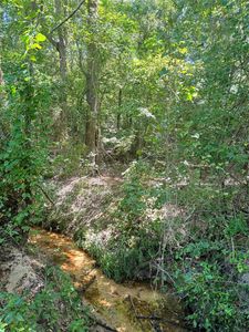 75 County Road 4411, Pittsburg, TX, 75686