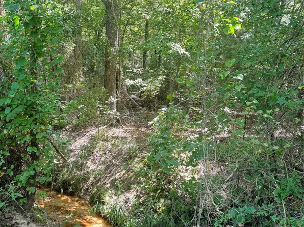 75 County Road 4411, Pittsburg, TX 75686