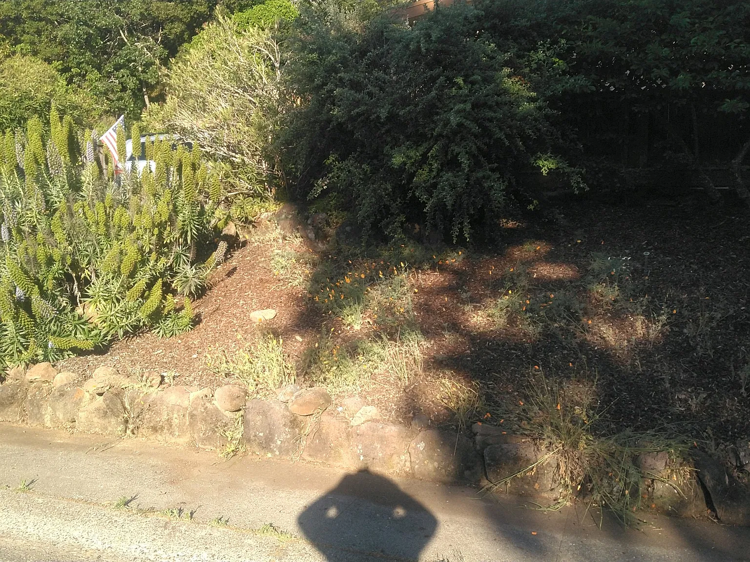 3 bed, 1132 sqft, $4,000 — Photo 3