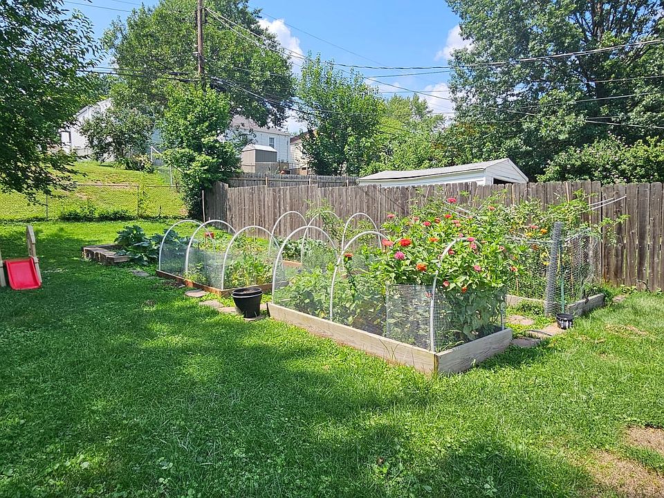 Backyard and garden beds 2023