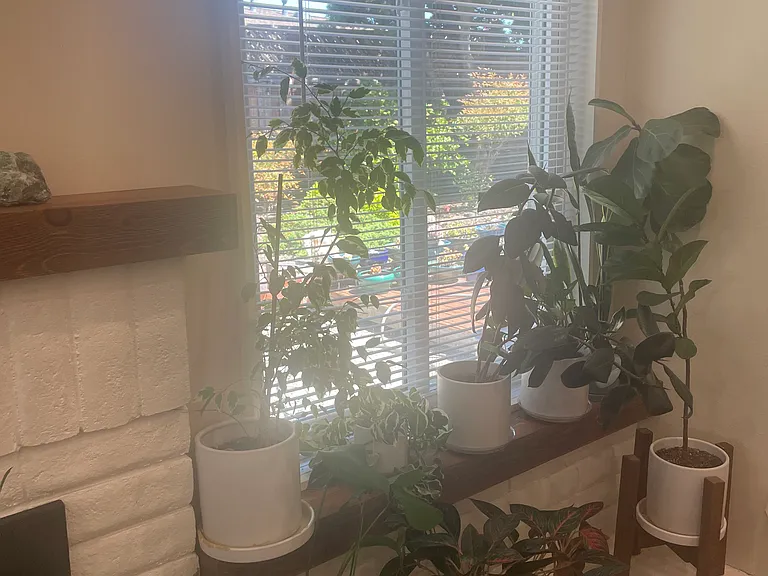 4109 Margaret Ct — Photo 36