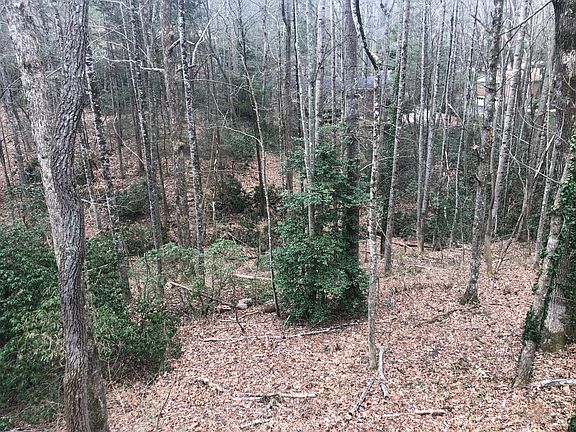3rd image of 183 Haywood Knolls Dr