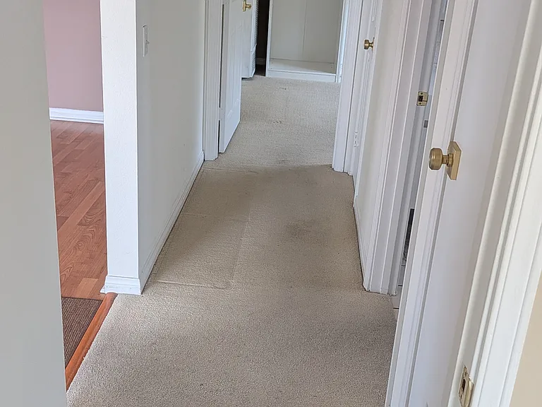 823 Maple St #1 — Photo 31