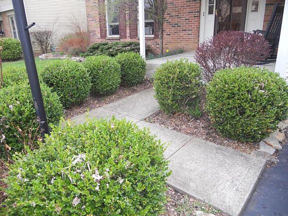 2nd image of 6989 Celtic Ct