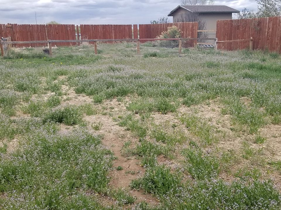 2nd image of 1405 Cochita Dr