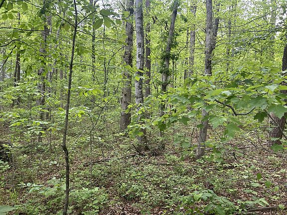 2nd image of 0 Route Davis Rd
