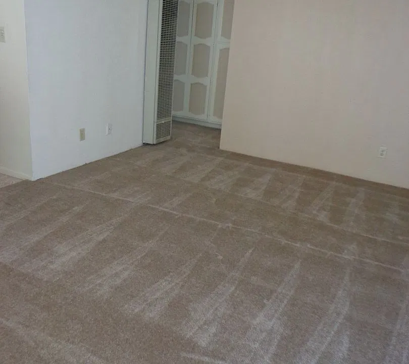 1154 Cedar Ave #D