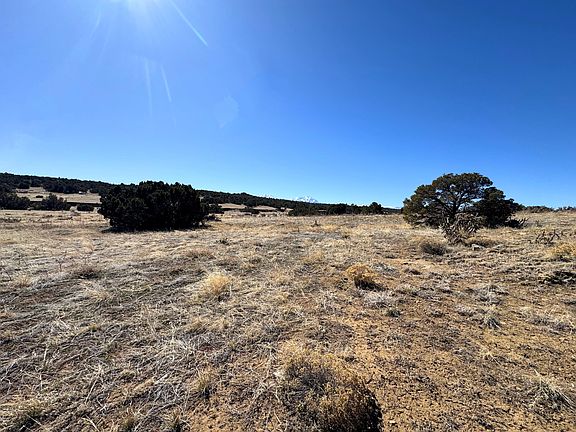 5th image of Rio Cucharas Phase 2 639 Walsenburg #2-639