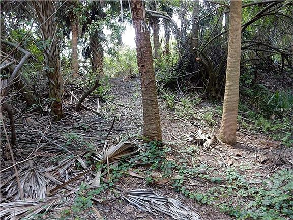 3rd image of Linda Dr