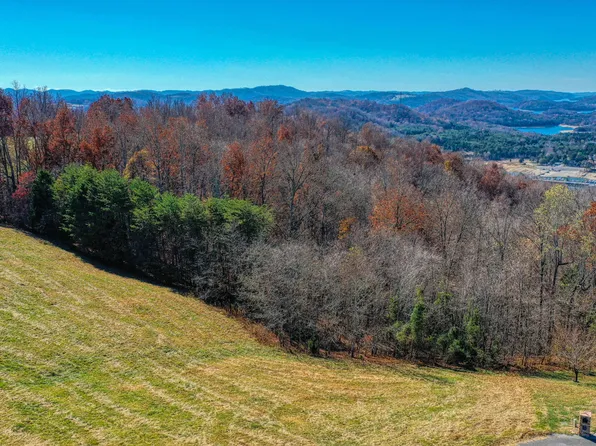 Alabaster Ct, New Tazewell, TN 37825