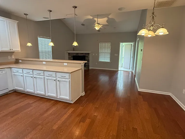 4203 Old Plantation Loop — Photo 4