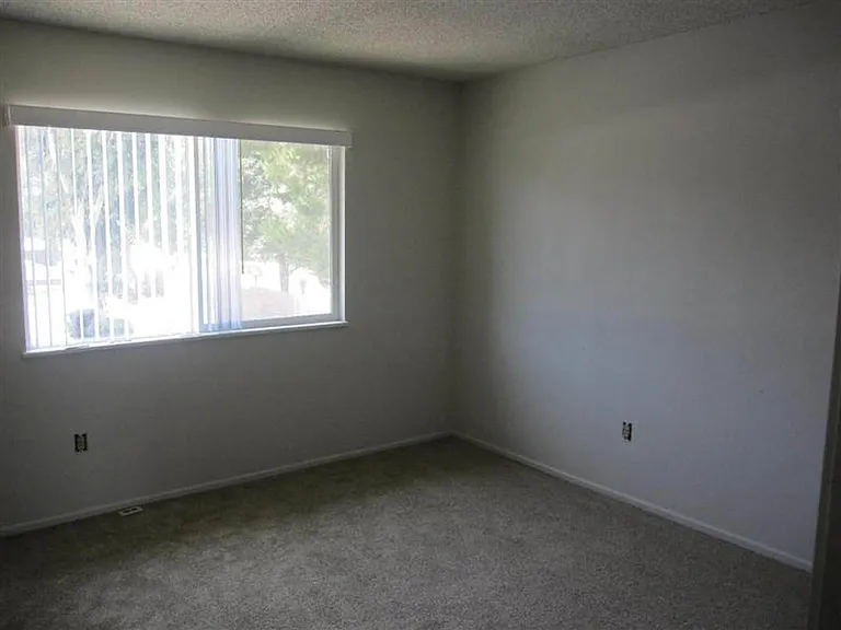 Mountain View — Photo 10