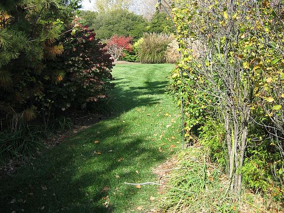 Side garden path