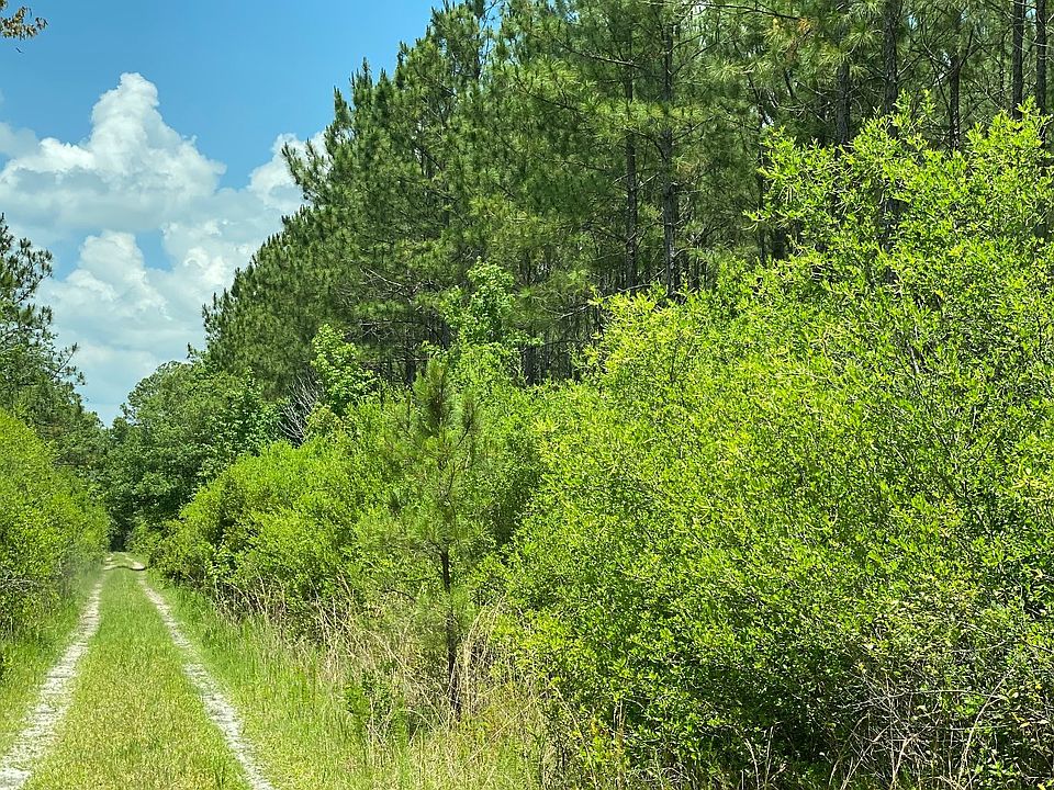 1519 SW Wabasso Ter, Greenville, FL 32331 Zillow