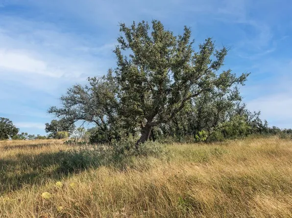 2250 Buck Ridge Dr, Melvin, TX 76858