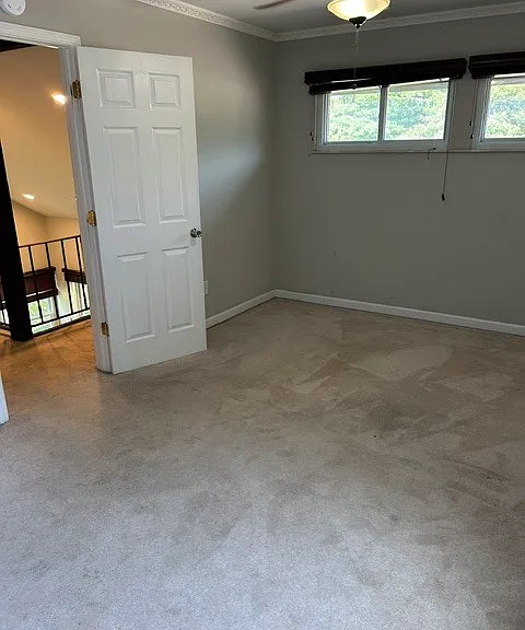 446 Down Hill Dr — Photo 8