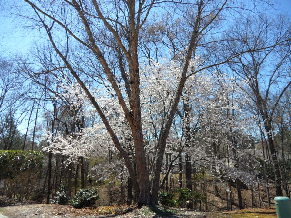 2nd image of 10505 Wren Ridge Rd