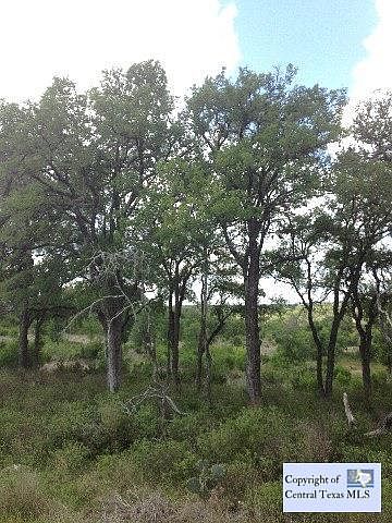 2nd image of 942 Oak Bluff Trl