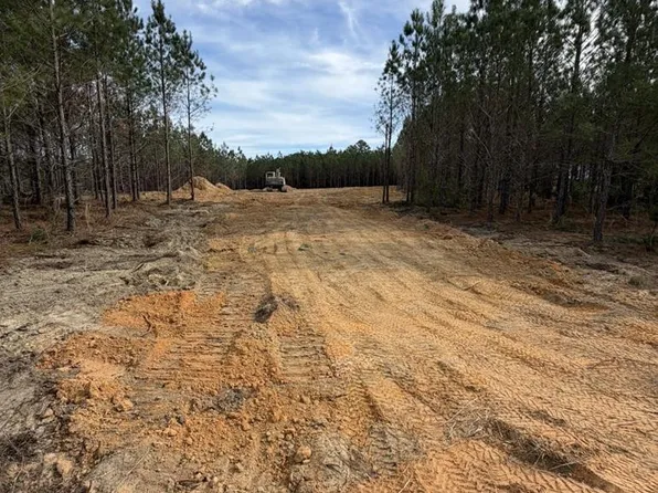 1410 Penny Morris Rd, Baxley, GA 31513
