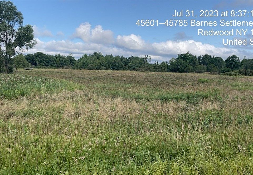 44977 Barnes Settlement Rd 39, Redwood, NY 13679 Zillow
