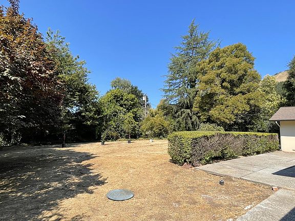 Backyard with patio space