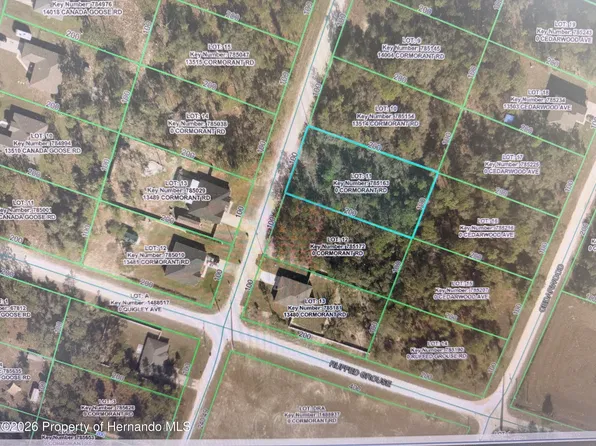 0 Cormorant Rd, Brooksville, FL 34614