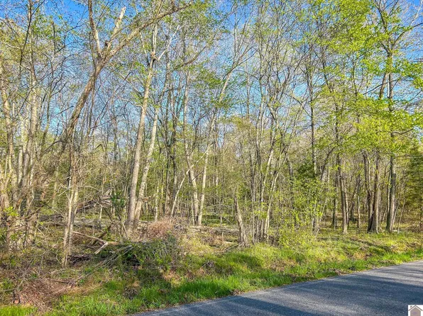 0 Fort Leisure Trl #A-18, Gilbertsville, KY 42044