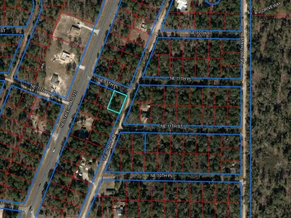 NE Boros Drive & 11th Pl Lot 1, Williston, FL 32696