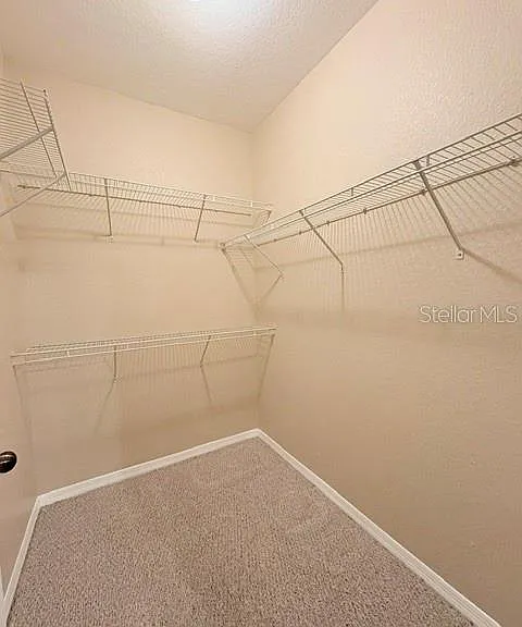 10213 Courtney Palms Blvd #301 — Photo 13
