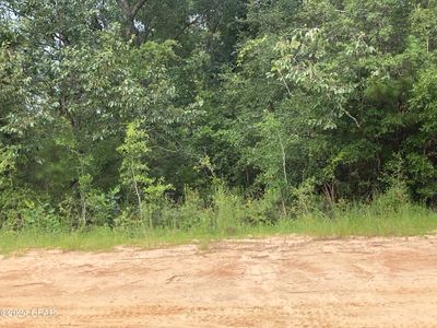 34 Dorcas Rd, Marianna, FL, 32448