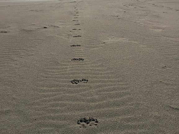Miles of beach and sand