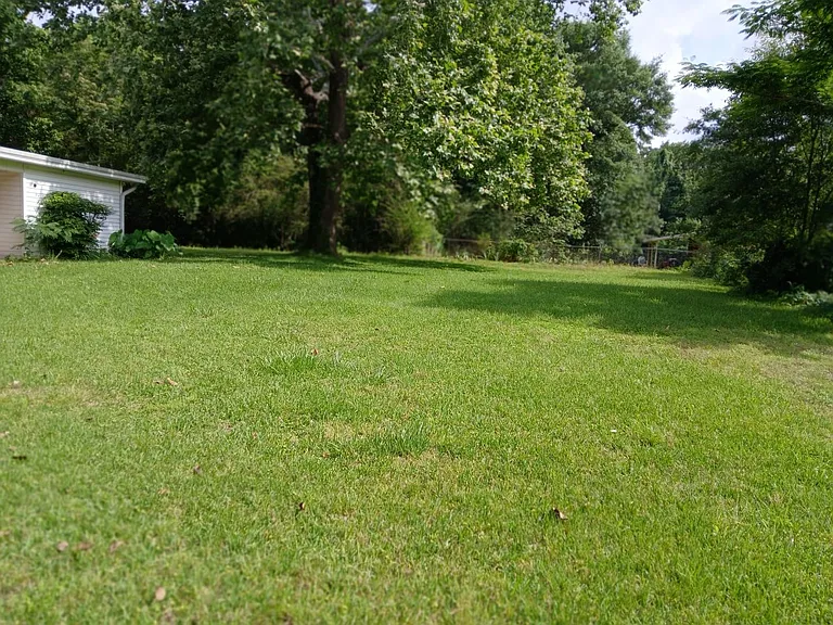 2301 Edison Ave — Photo 19