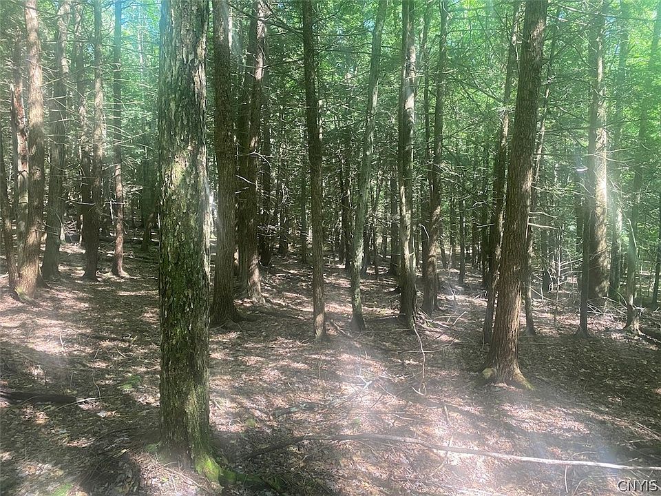 19th image of Putt Brook Rd