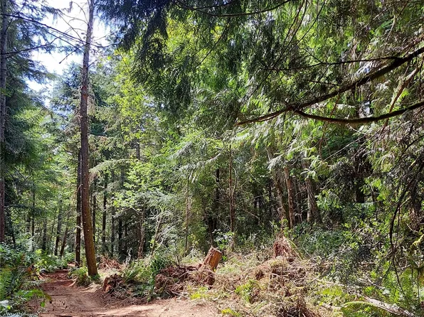 0 Meadowood Drive W, Seabeck, WA 98380