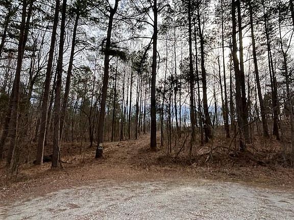 2nd image of 938 Kassinger Ln