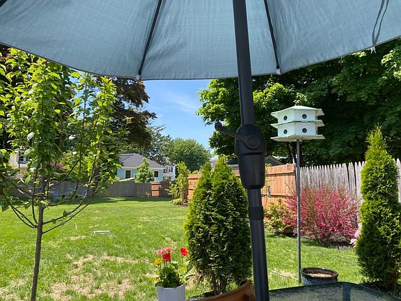 Back yard from patio (summer)