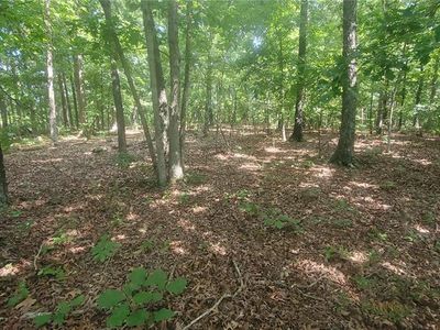 (Undisclosed Address), Elk Creek, MO, 65464