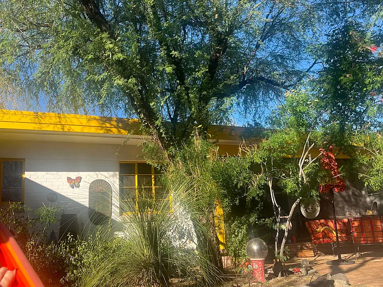 Backyard.