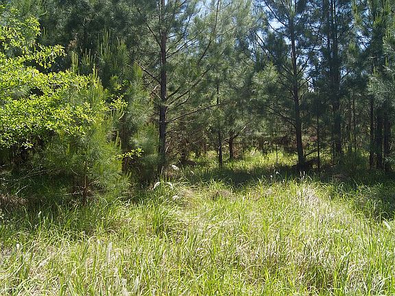 2nd image of Lot # 23 Presley Dr