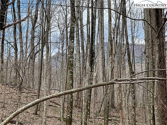 4th image of TBD Hickory Heights Drive