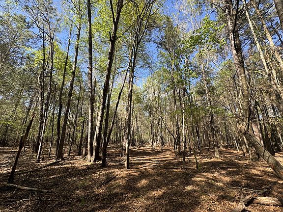 2nd image of County Road 3930