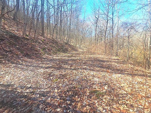 4th image of 1200 Chestnut Flats Rd