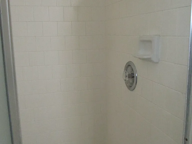 Master Bath Shower