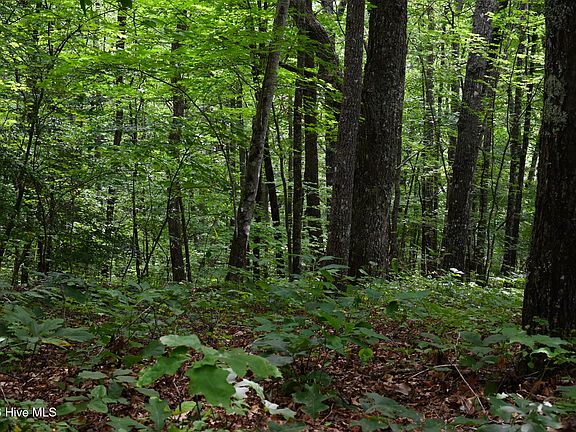 5th image of 0 Lories Mountain Drive Drive