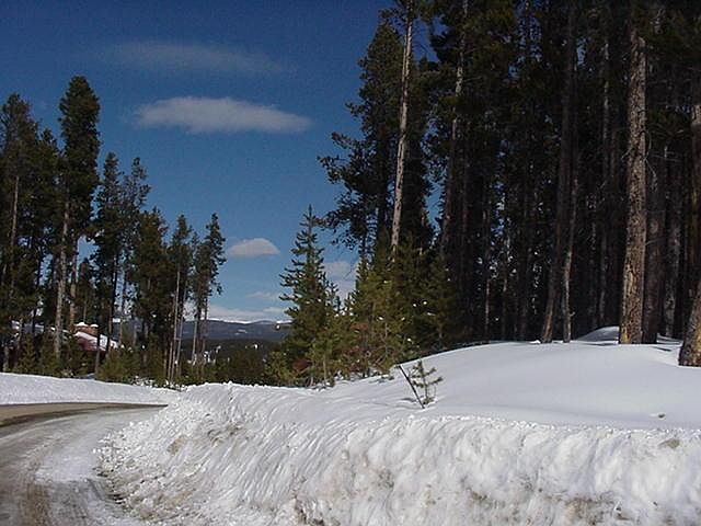 2nd image of TIMBER Drive
