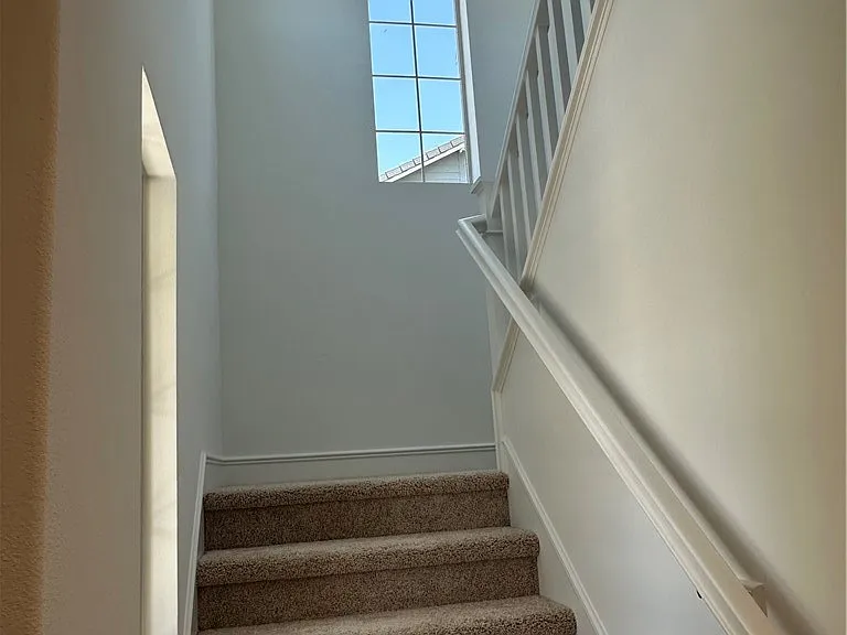 4209 S Malagon Privado — Photo 7