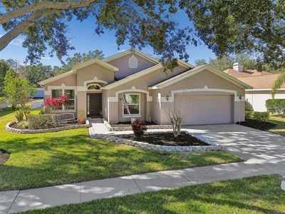 3004 Minuteman Ln, Brandon, FL, 33511