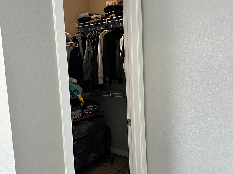 Master Closet in Bedroom